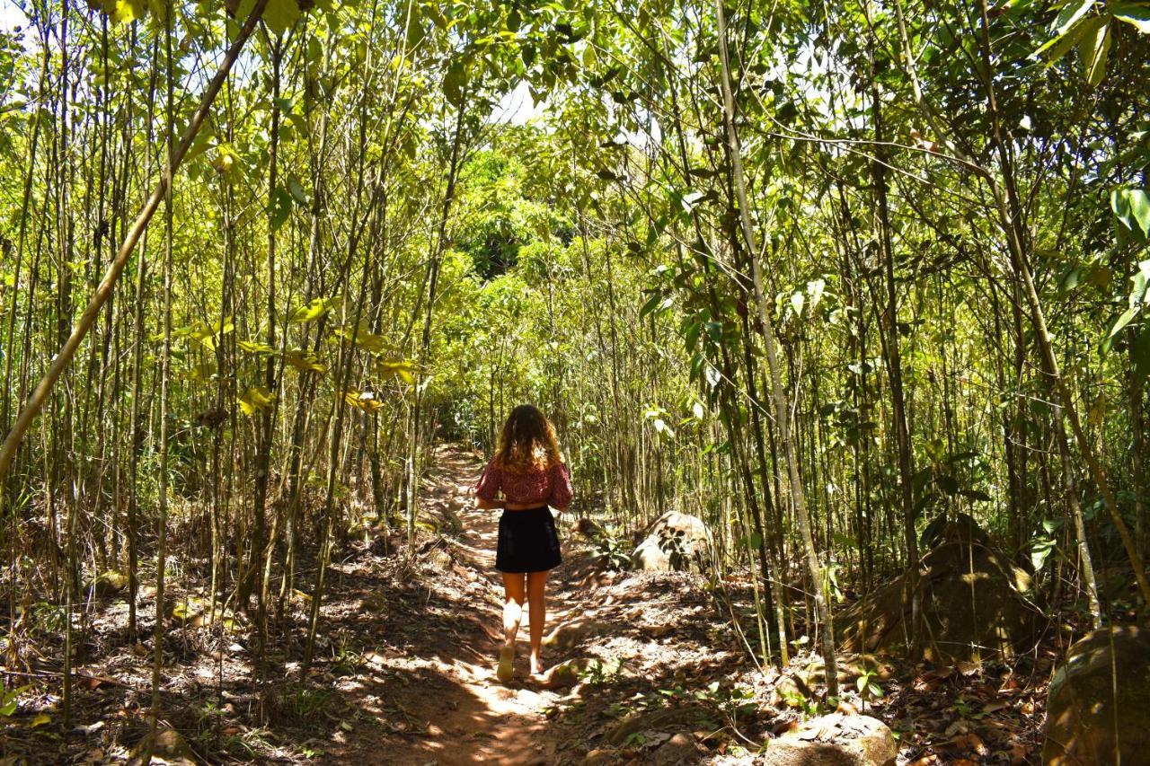 Bosque Guardian Lodge Tarapoto Dış mekan fotoğraf