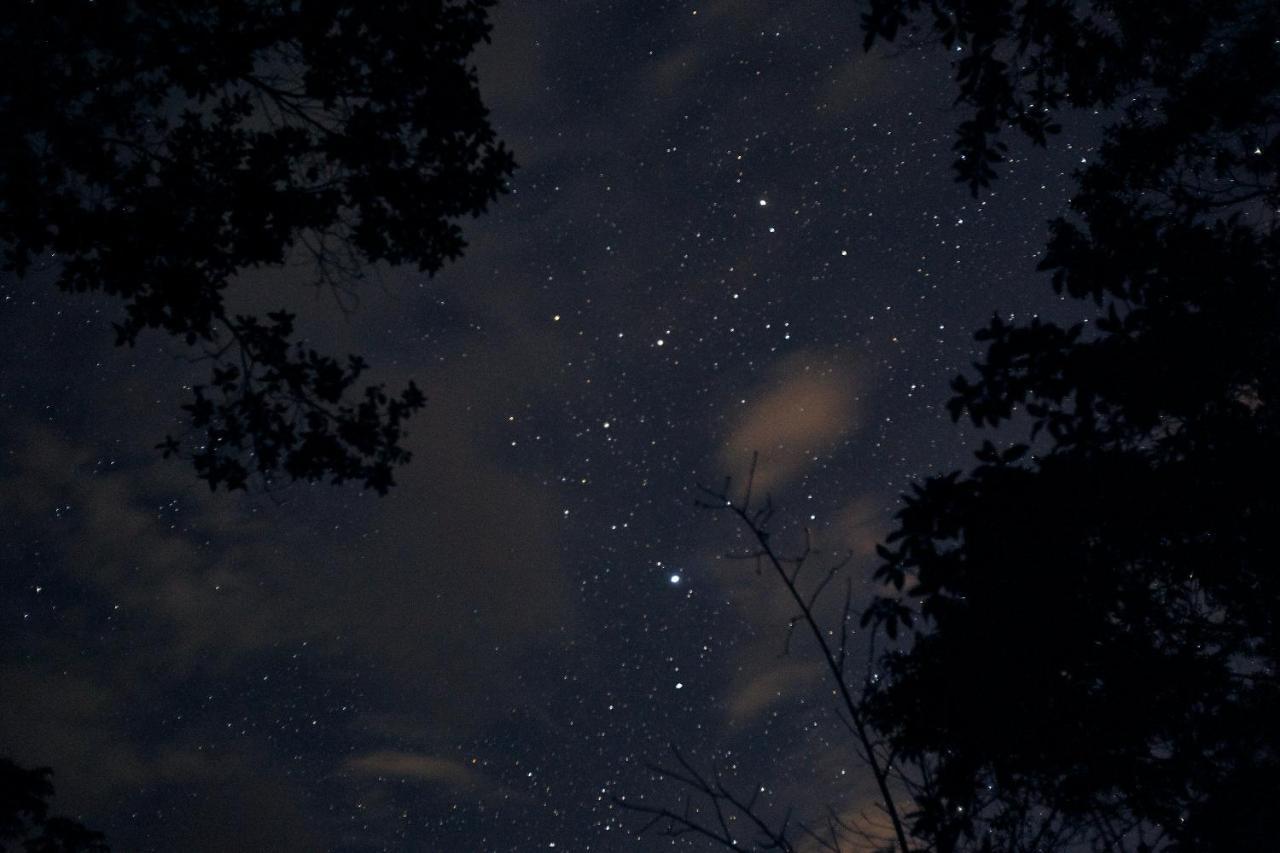 Bosque Guardian Lodge Tarapoto Dış mekan fotoğraf