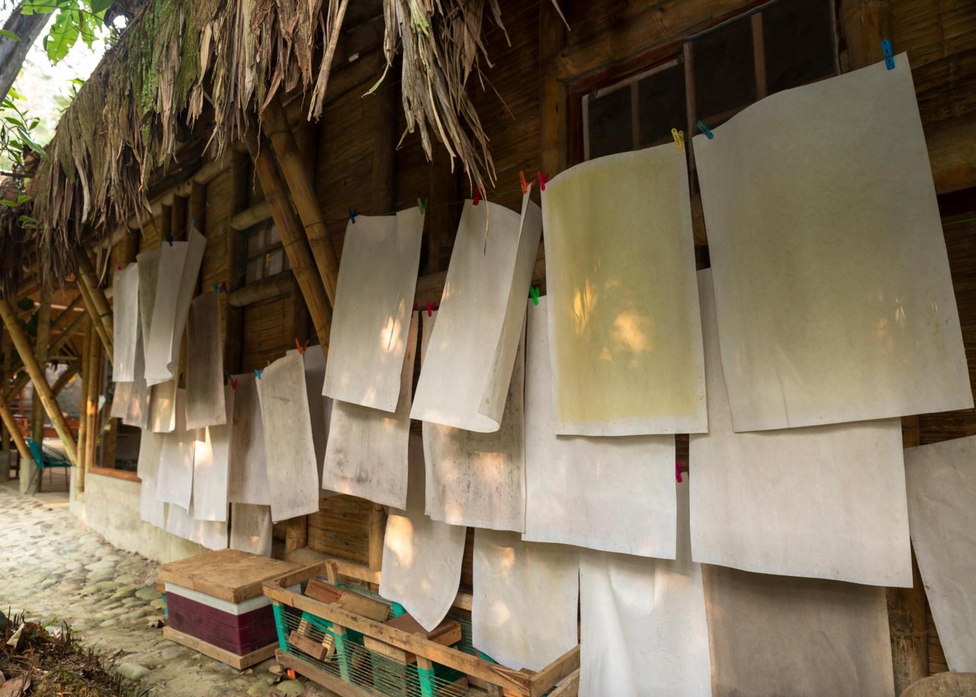 Bosque Guardian Lodge Tarapoto Dış mekan fotoğraf