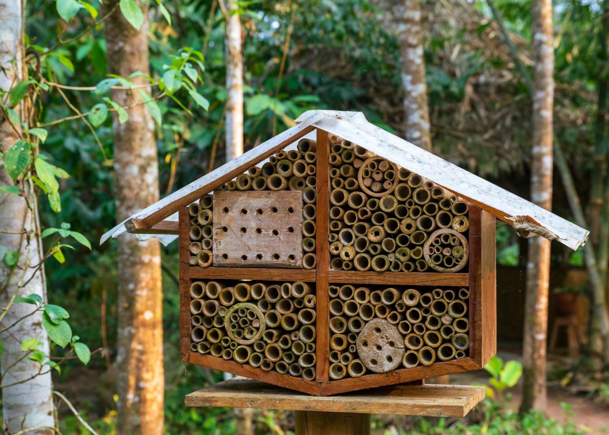 Bosque Guardian Lodge Tarapoto Dış mekan fotoğraf