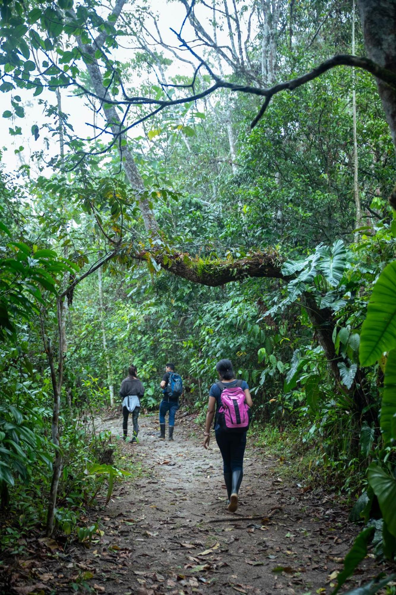 Bosque Guardian Lodge Tarapoto Dış mekan fotoğraf