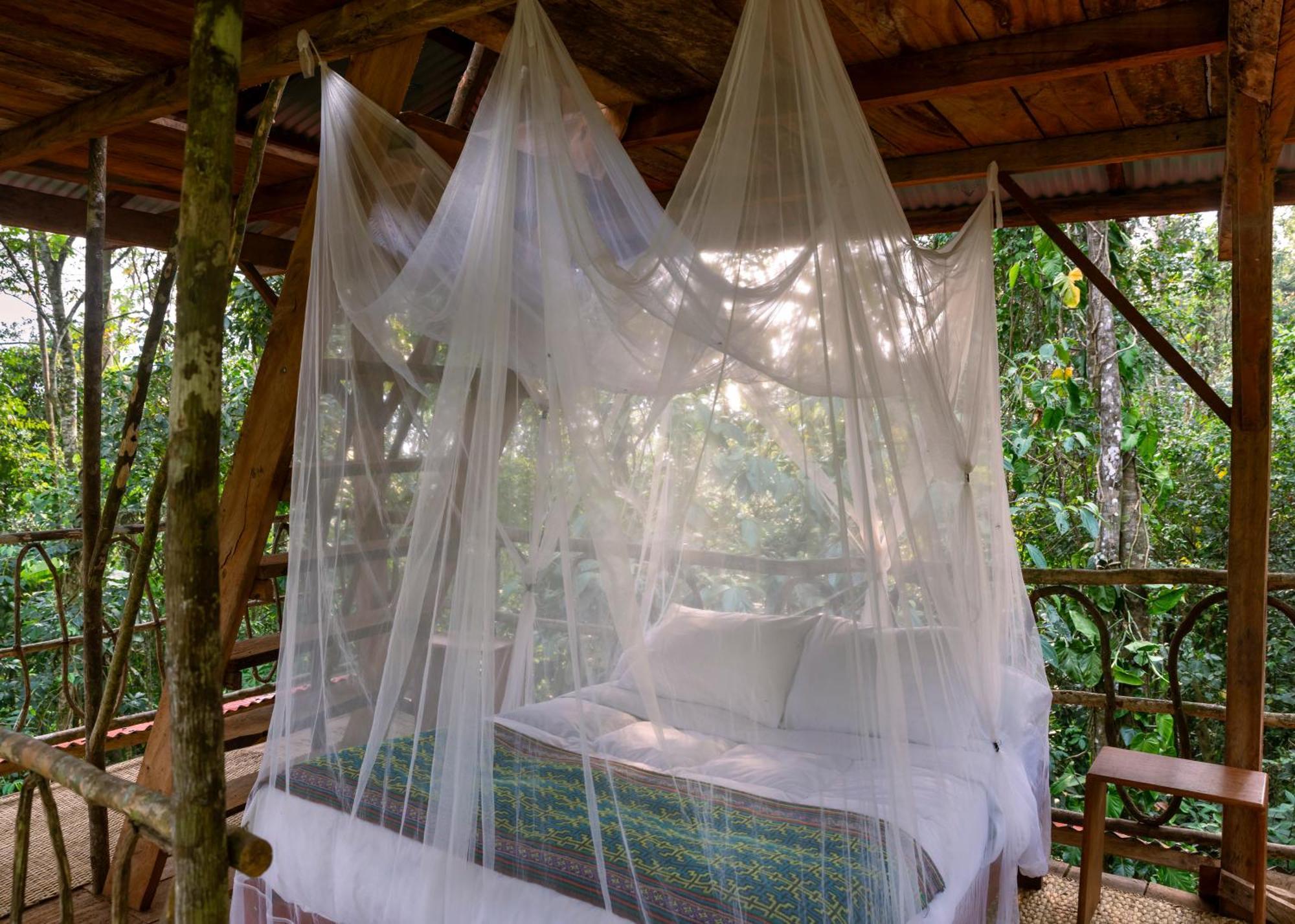 Bosque Guardian Lodge Tarapoto Dış mekan fotoğraf