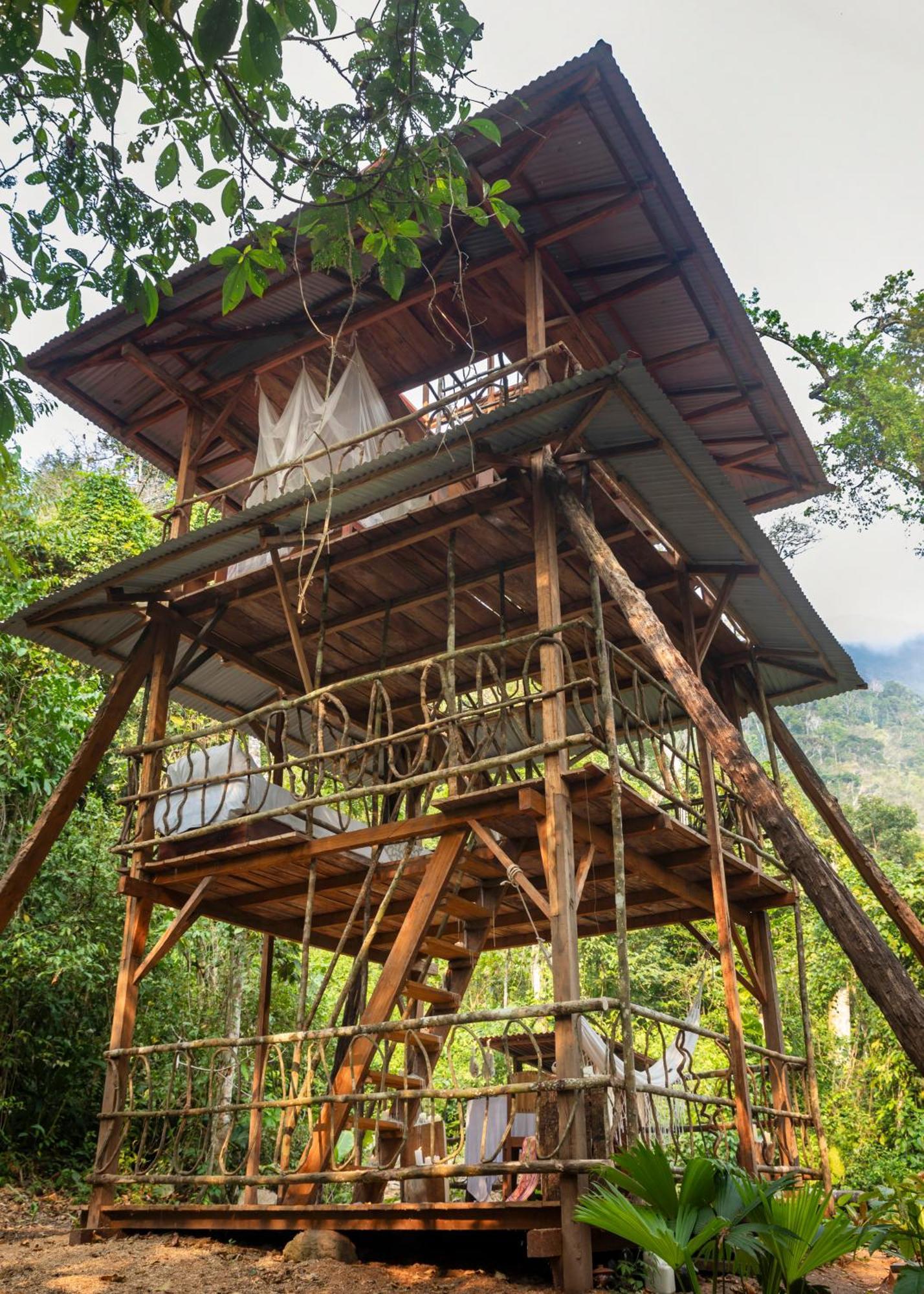 Bosque Guardian Lodge Tarapoto Dış mekan fotoğraf