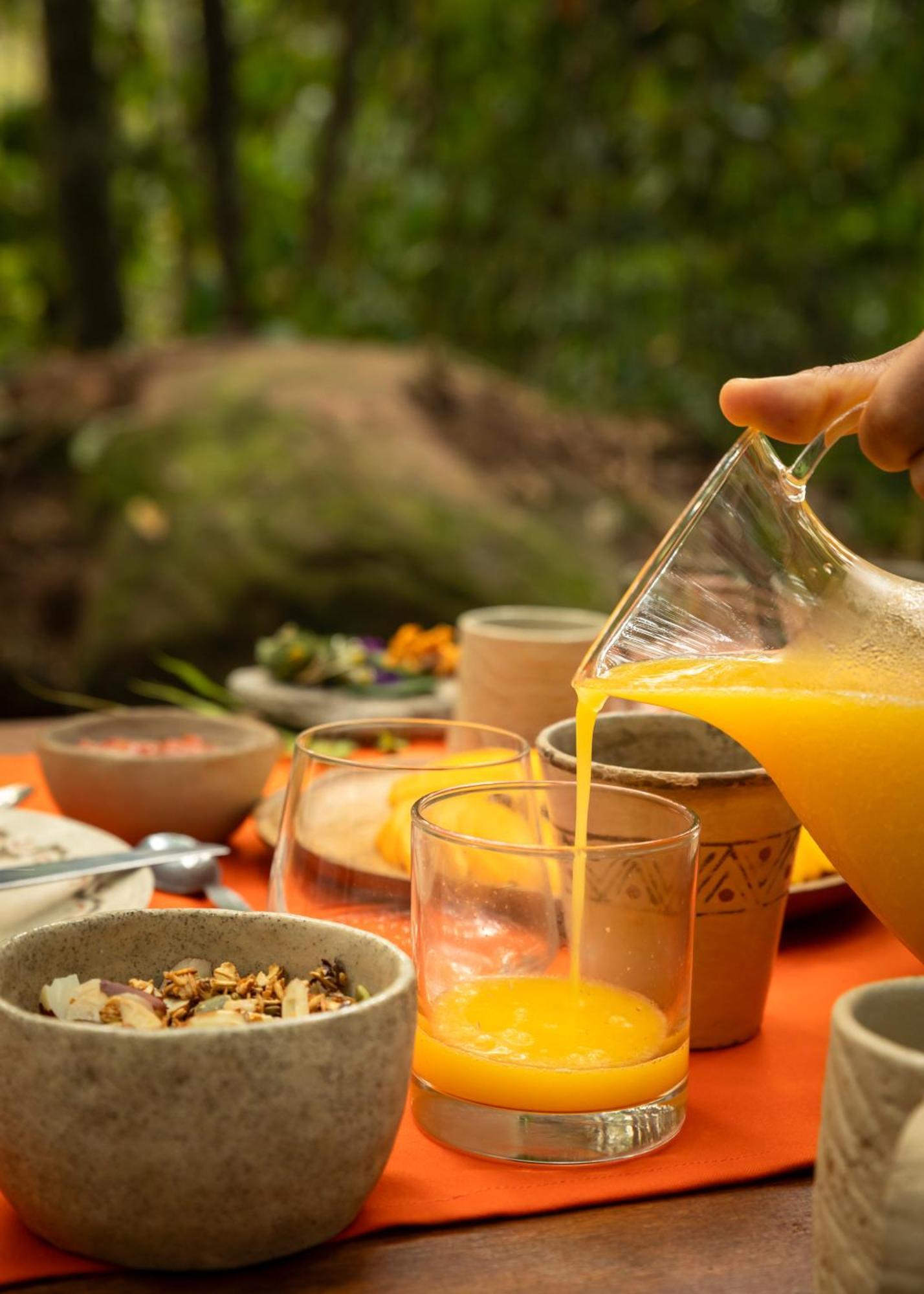 Bosque Guardian Lodge Tarapoto Dış mekan fotoğraf