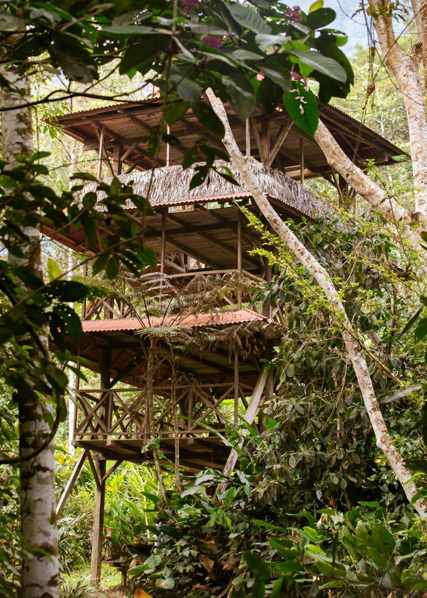 Bosque Guardian Lodge Tarapoto Dış mekan fotoğraf