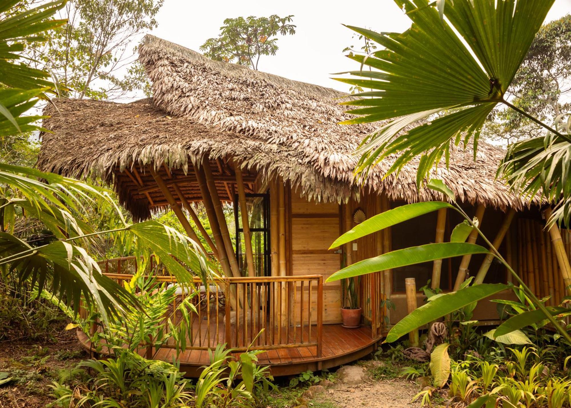 Bosque Guardian Lodge Tarapoto Dış mekan fotoğraf